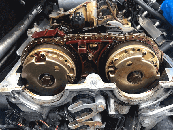 Timing Chain Golden CO